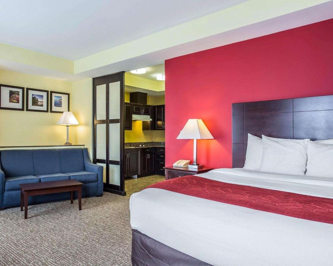Comfort Suites Rock Hill Manchester Meadows Area Екстер'єр фото